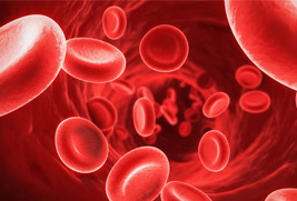 الفحص الدوري الشامل-معامل طيبة